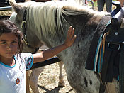 Photo of youngster petting one of our riding ponies.