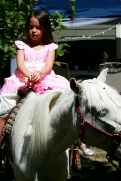 pony rides, pony ride, portland or, parties, birthday